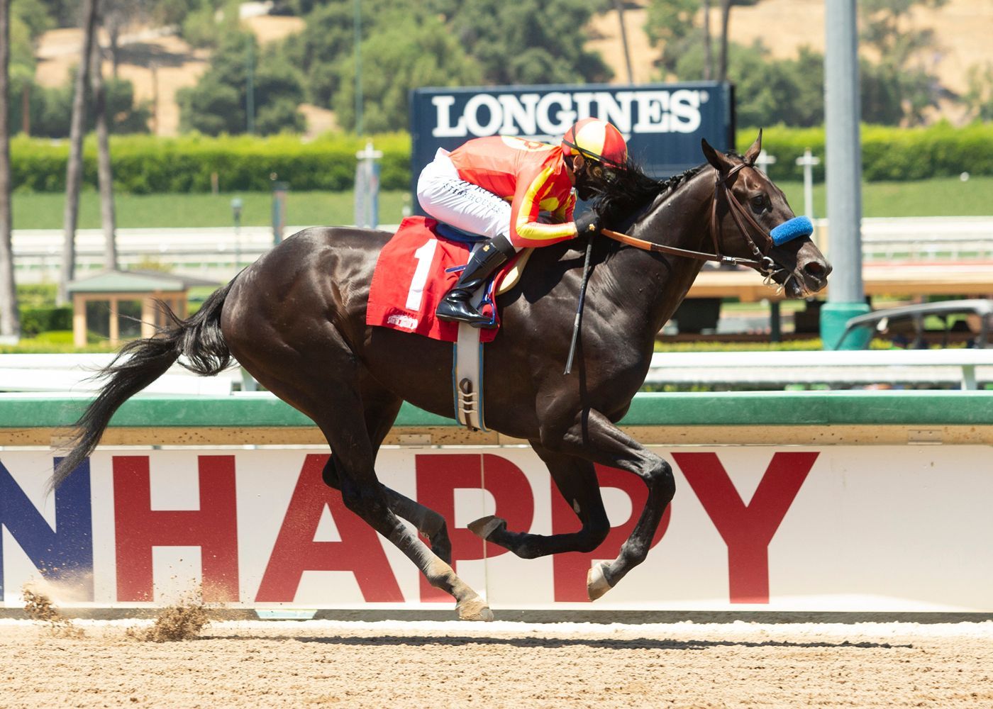 Los Alamitos Derby Tip Sheet | TwinSpires