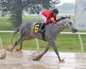 Racing at Will Rogers Downs