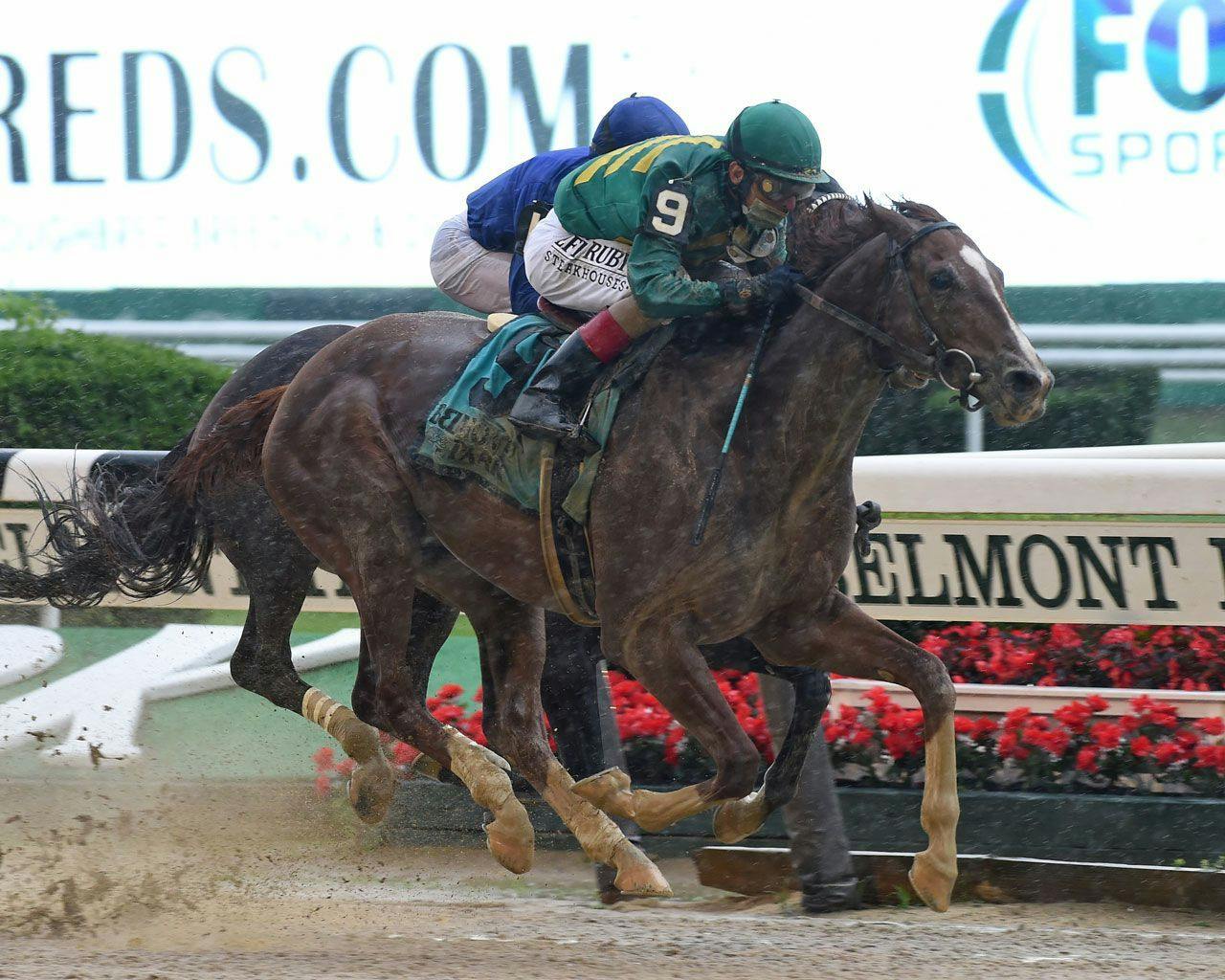 The Pegasus World Cup Invitational Stakes Tipsheet TwinSpires