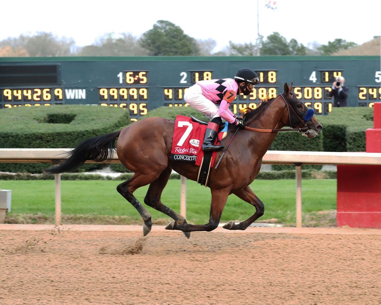 Kentucky Derby Pedigree Profile: Concert Tour | TwinSpires