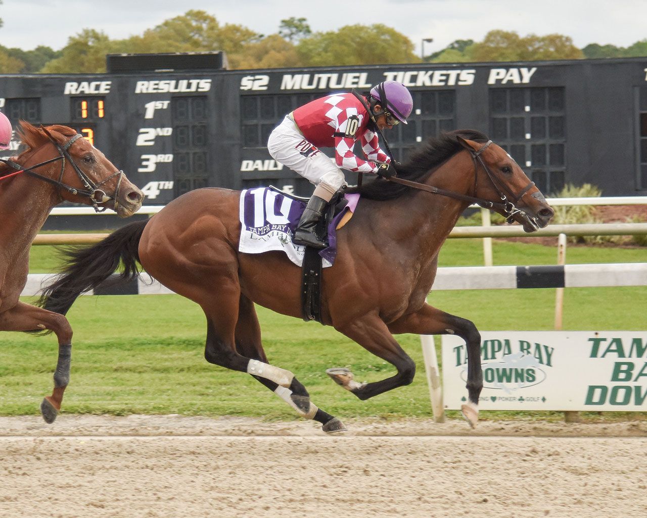 Kentucky Derby Pedigree Profile: Helium | TwinSpires