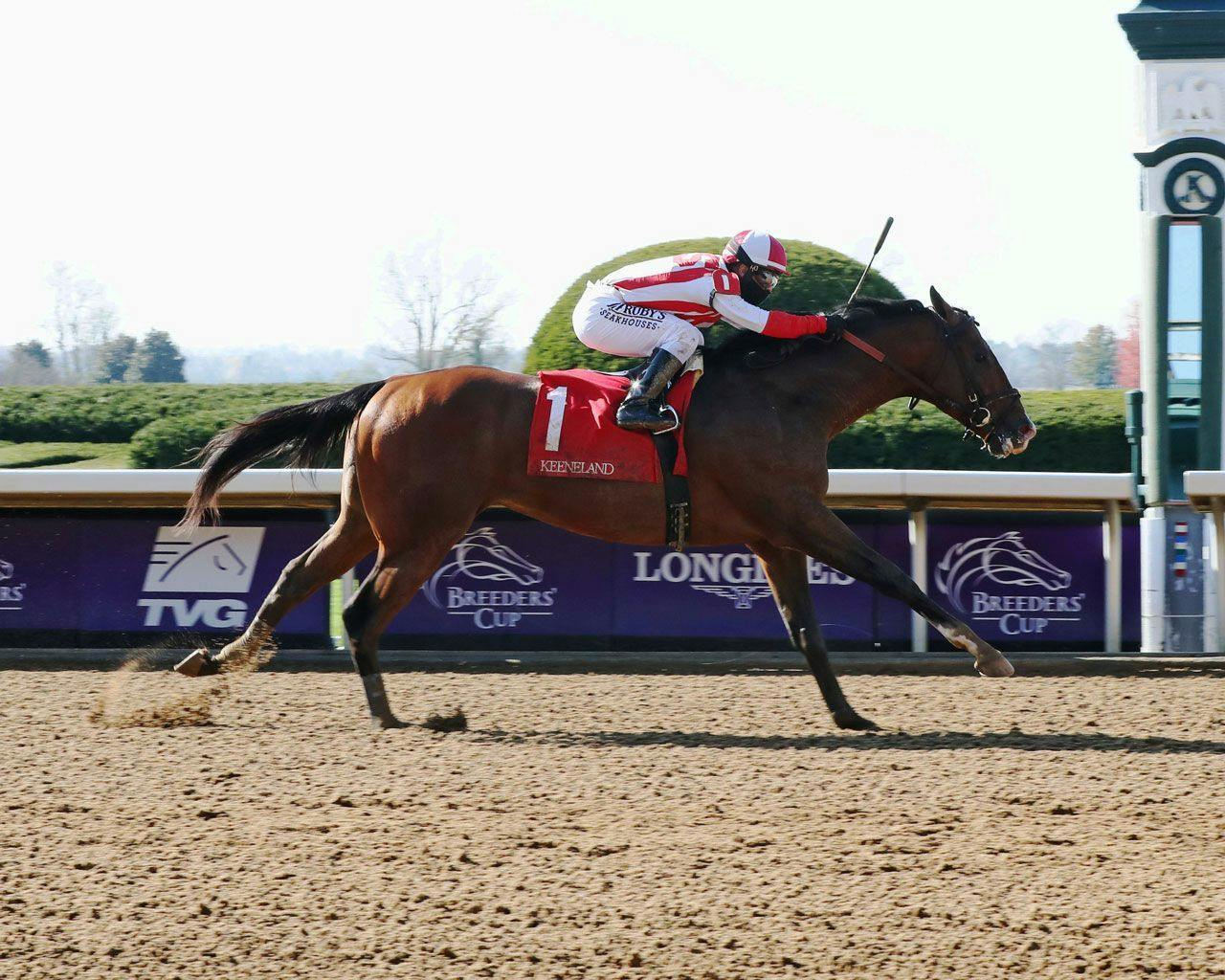 The Gotham Stakes Tipsheet TwinSpires