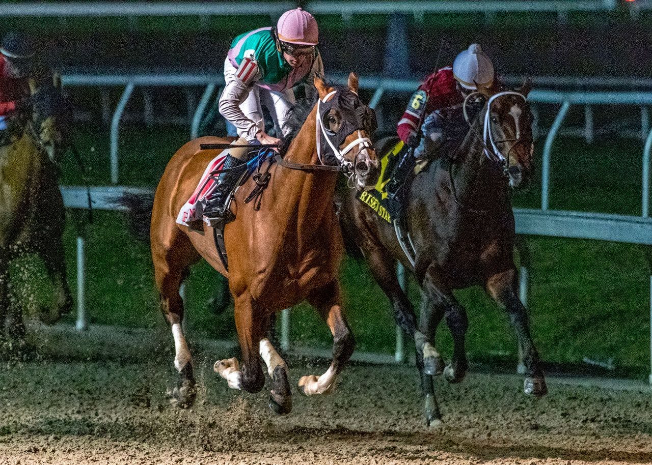 The Louisiana Derby Tipsheet TwinSpires