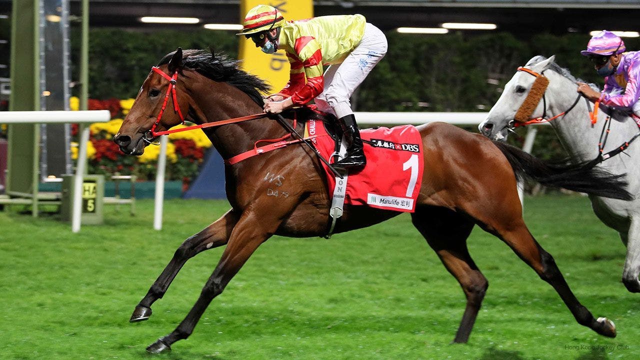 Hong Kong Preview: Packing Award tough to beat at Happy Vall | TwinSpires