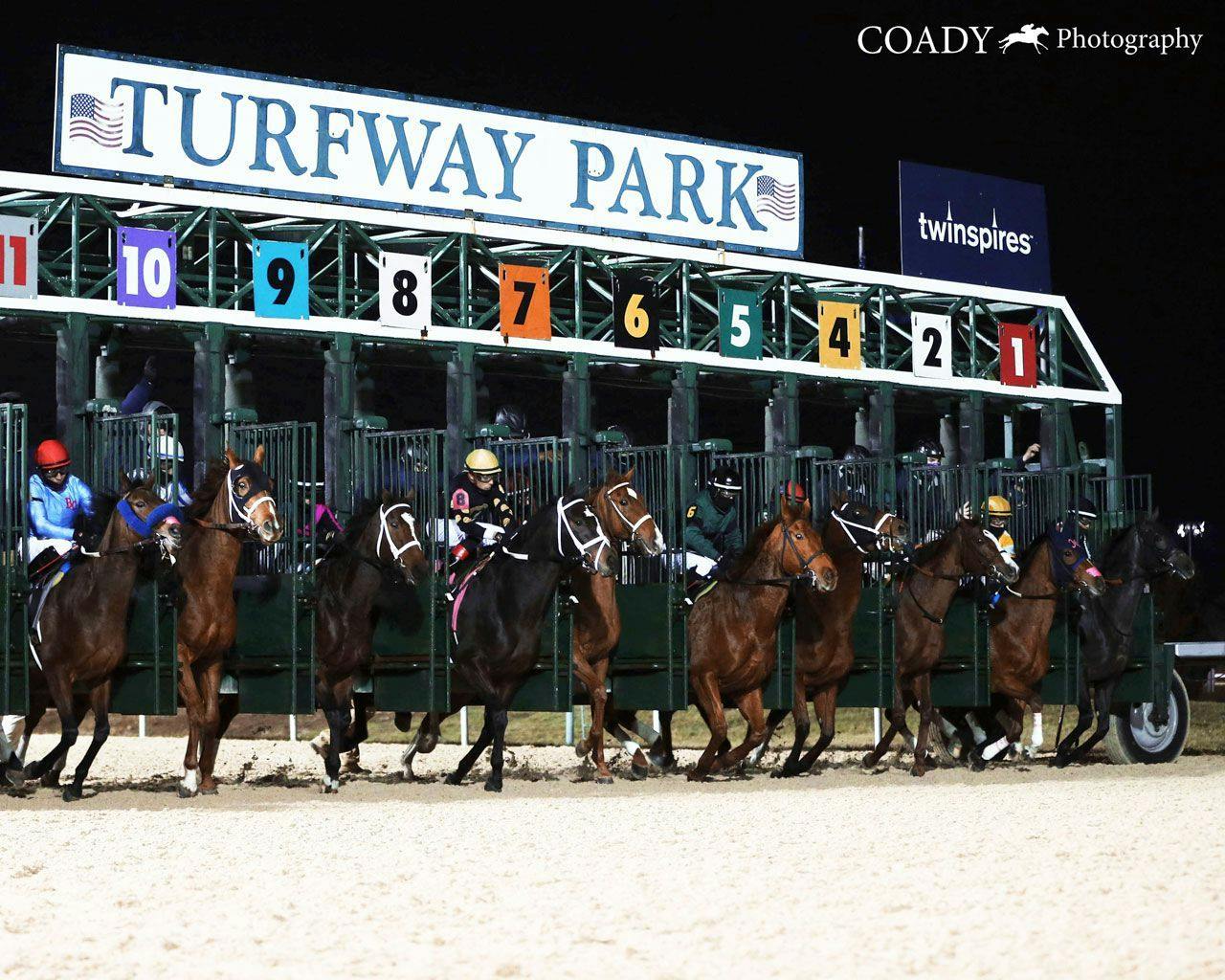 Turfway Park starting gate scene