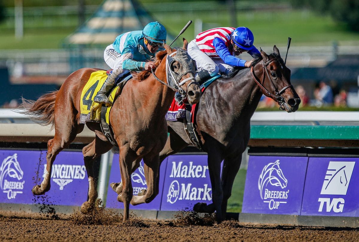 Betting a cold Pick 3 at Fair Grounds | TwinSpires